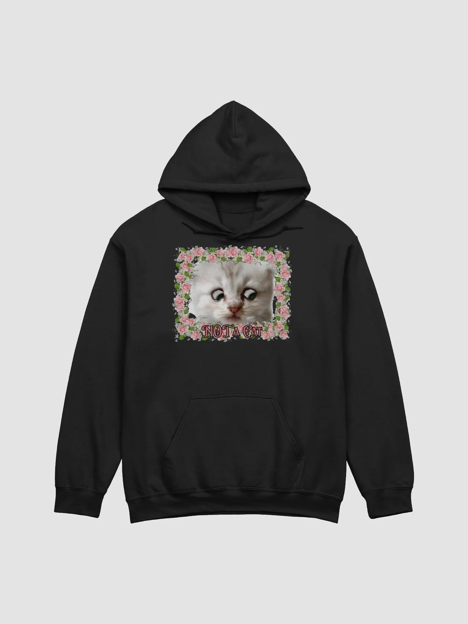 NOT A CAT HOODIE! product image (1)