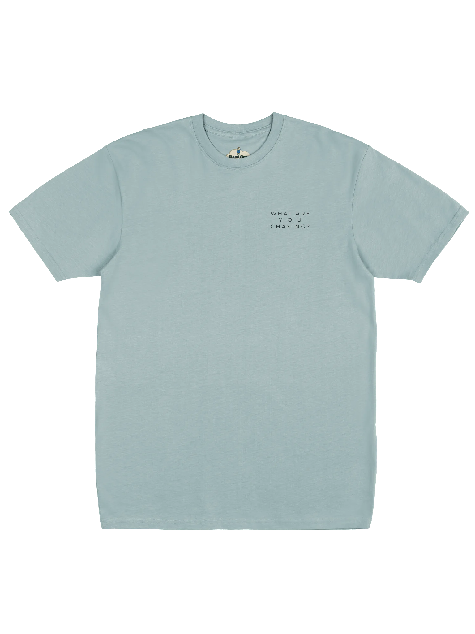Men's What Are You Chasing? Heavyweight Statement Tee product image (1)