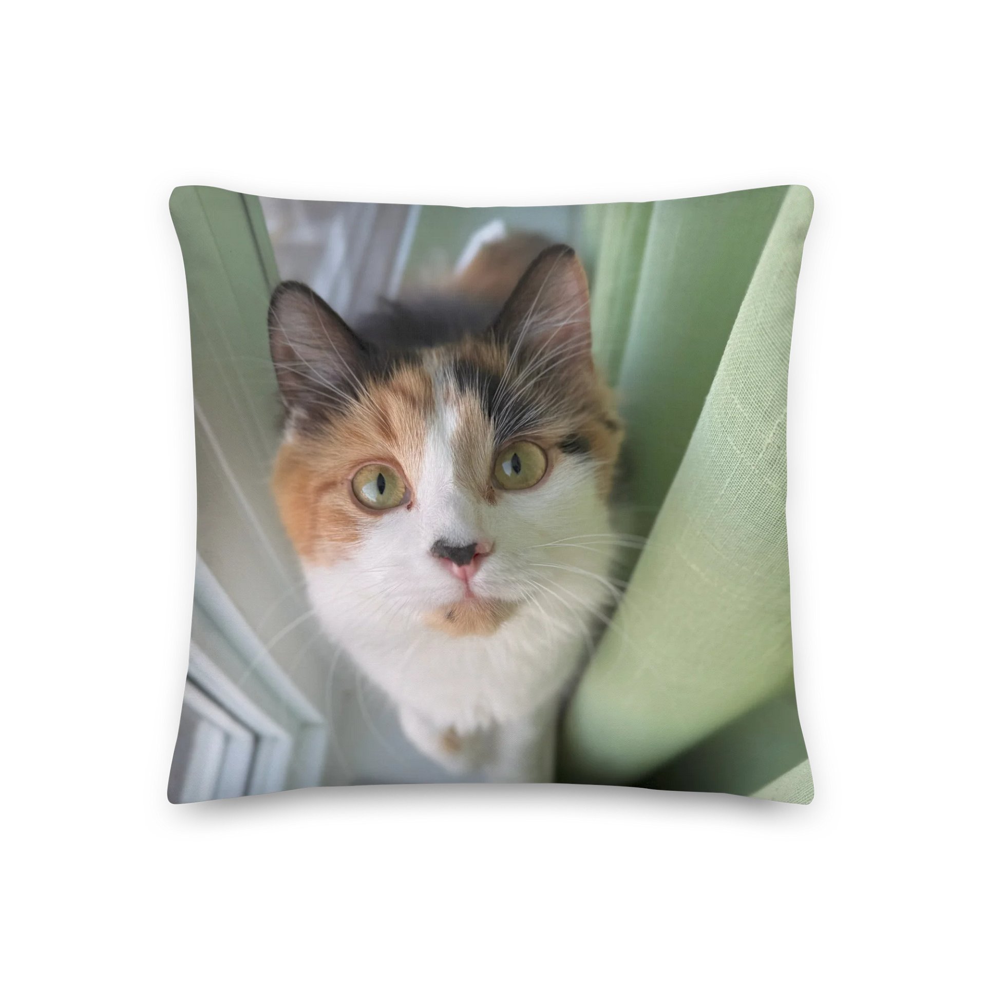 Stinking Cute Pillow | Oreiller product image (2)