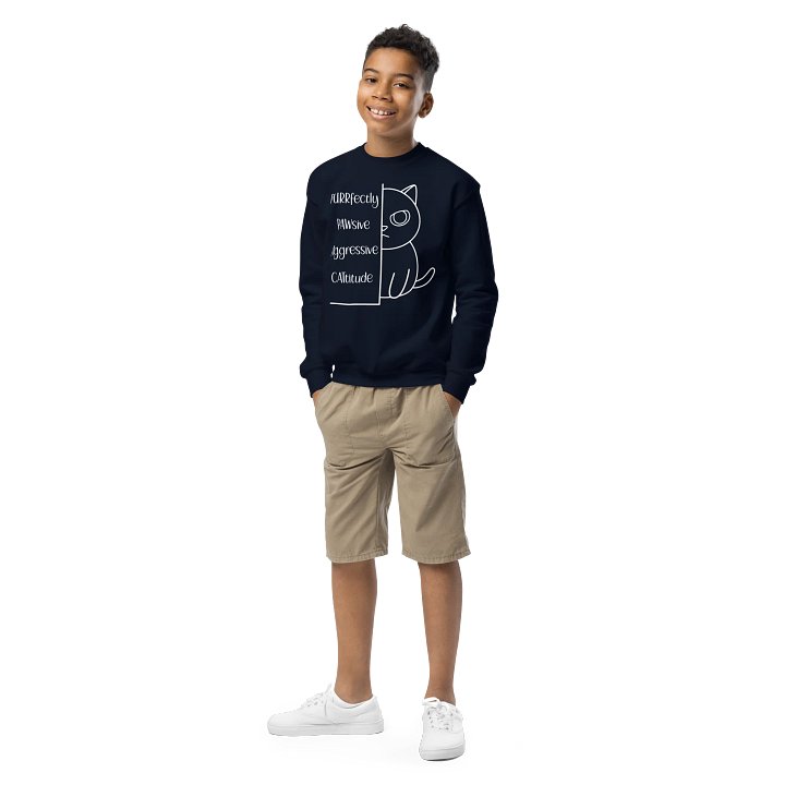 Passive Aggressive Cattitude - Unisex Youth Sweatshirt product image (2)