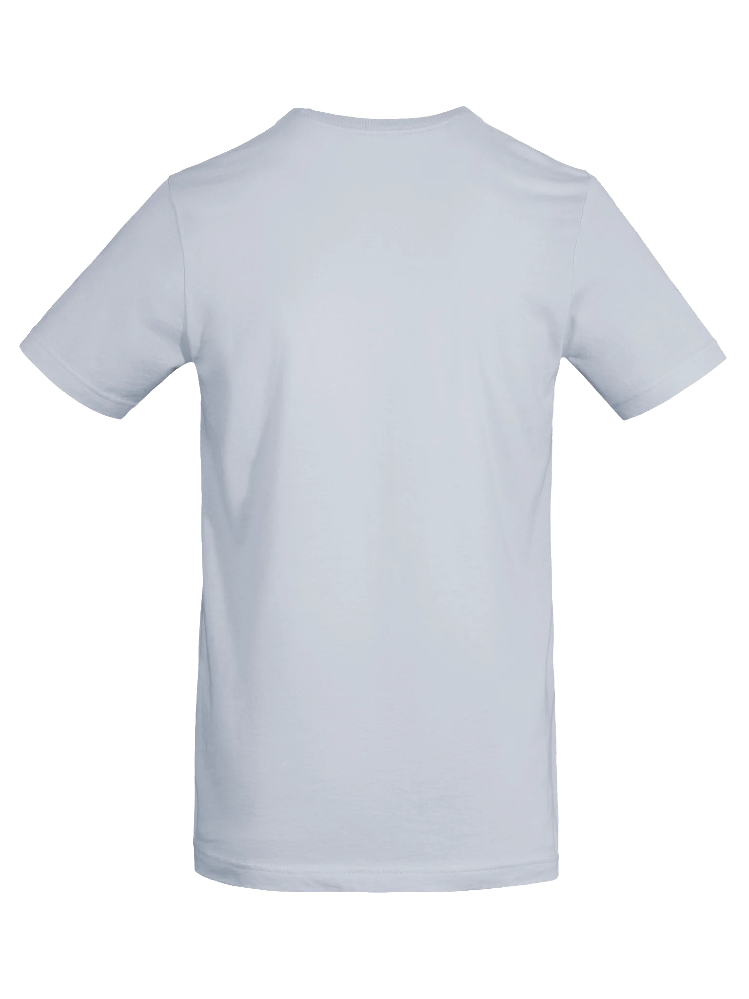 Black-Capped Chickadee Massachusetts Bird Tee product image (6)