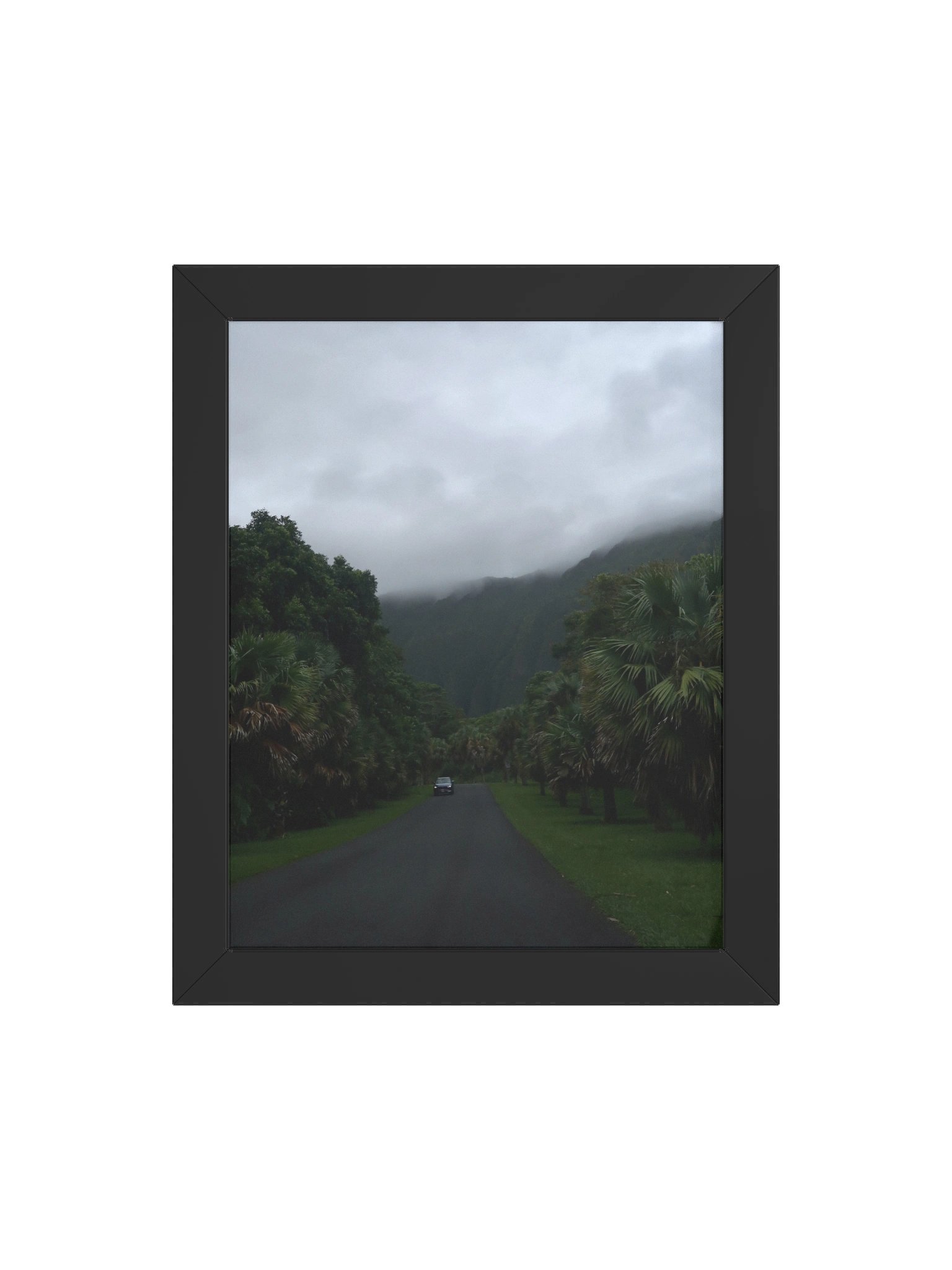 Ho'oaluhia Oahu product image (24)
