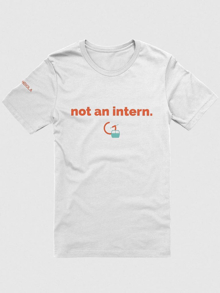 not an intern product image (1)