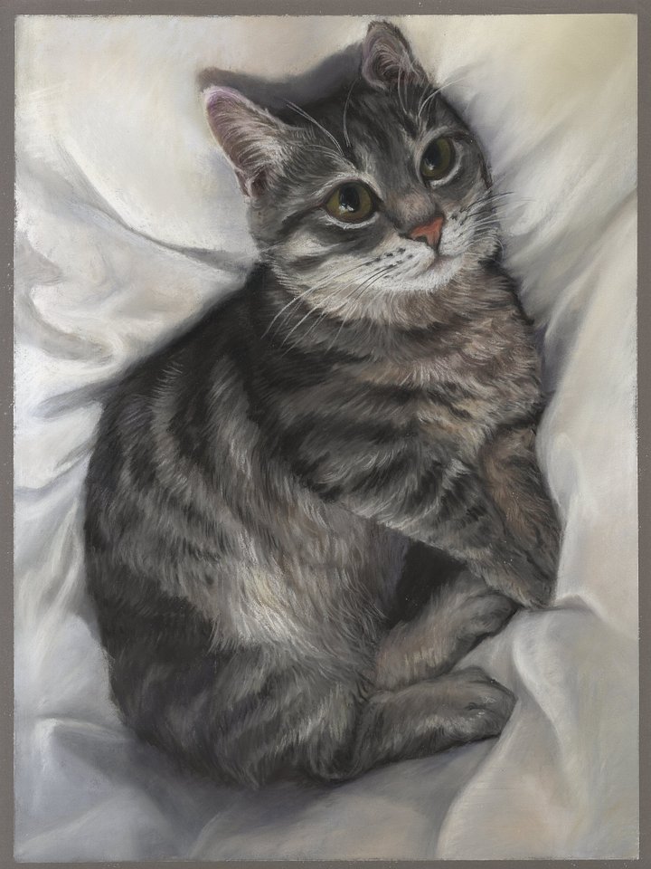 Dreaming in Comfort product image (1)