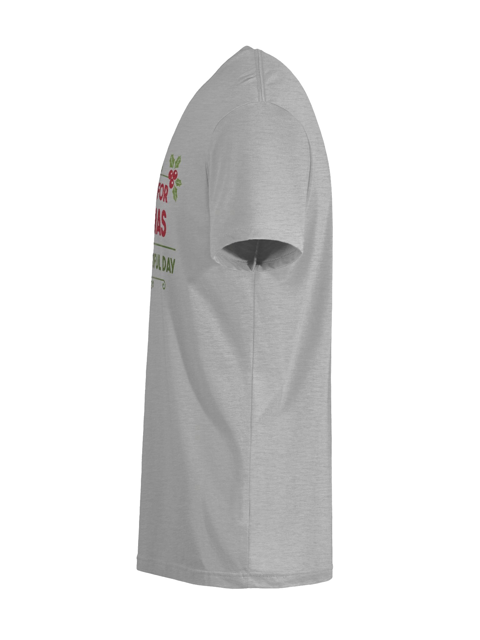 All I Want for Christmas Is... Tee | Brand Next Level product image (12)