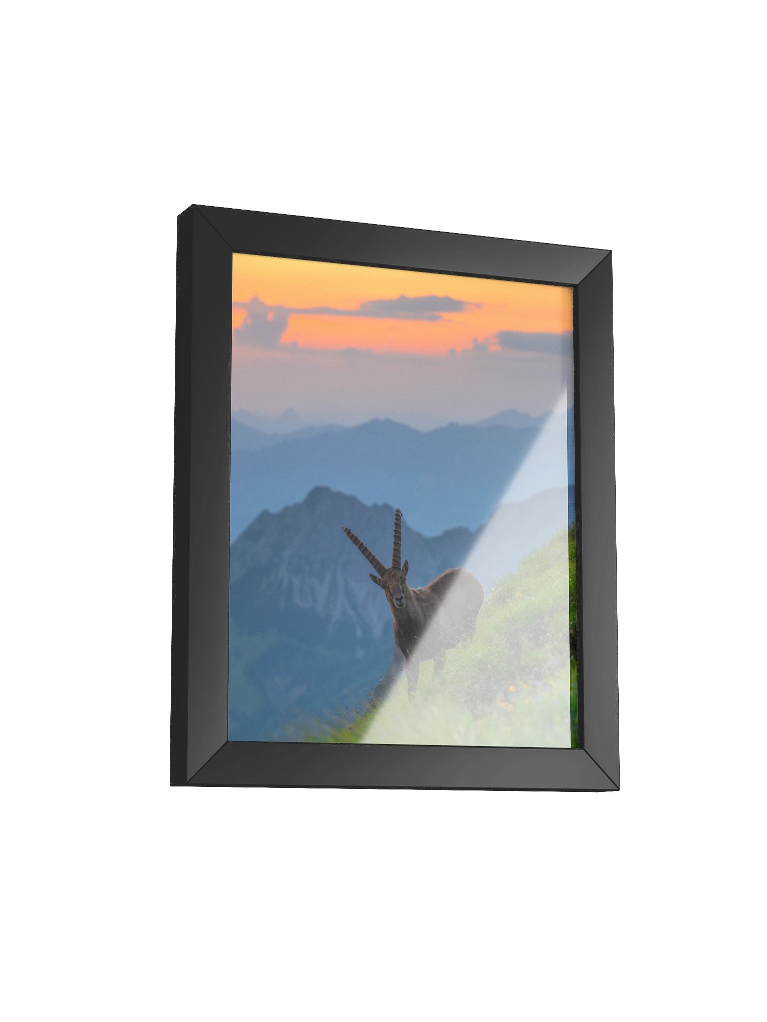 Ibex at the Brienzer Rothorn product image (2)