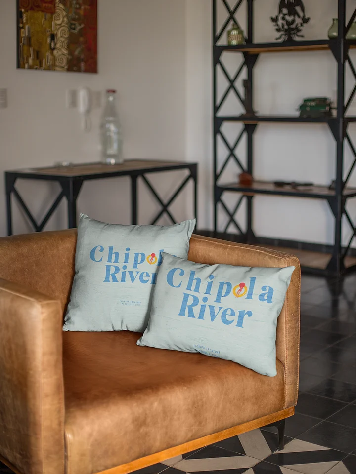 The Chipola River Pillows product image (1)
