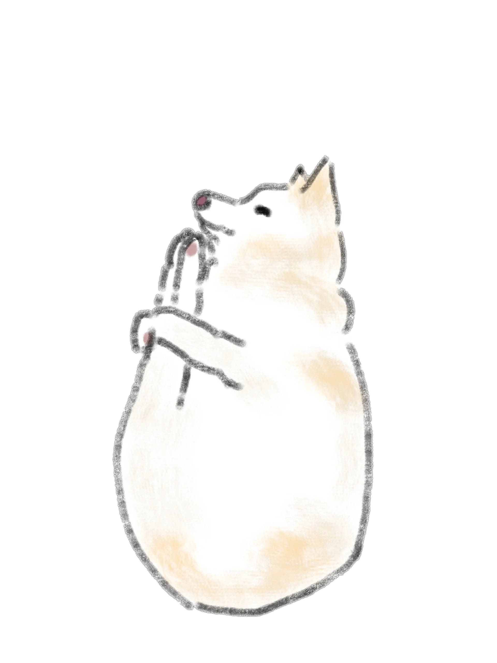 12 Hand-Drawn Dog PNG Clipart Bundle product image (2)