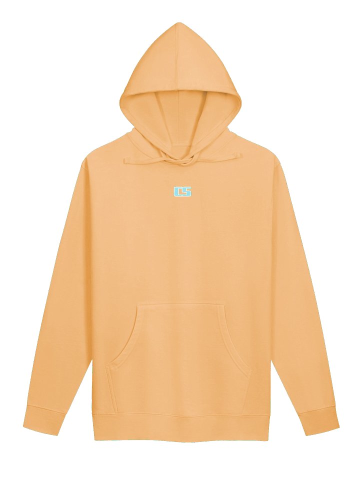 CS Hoodie product image (5)