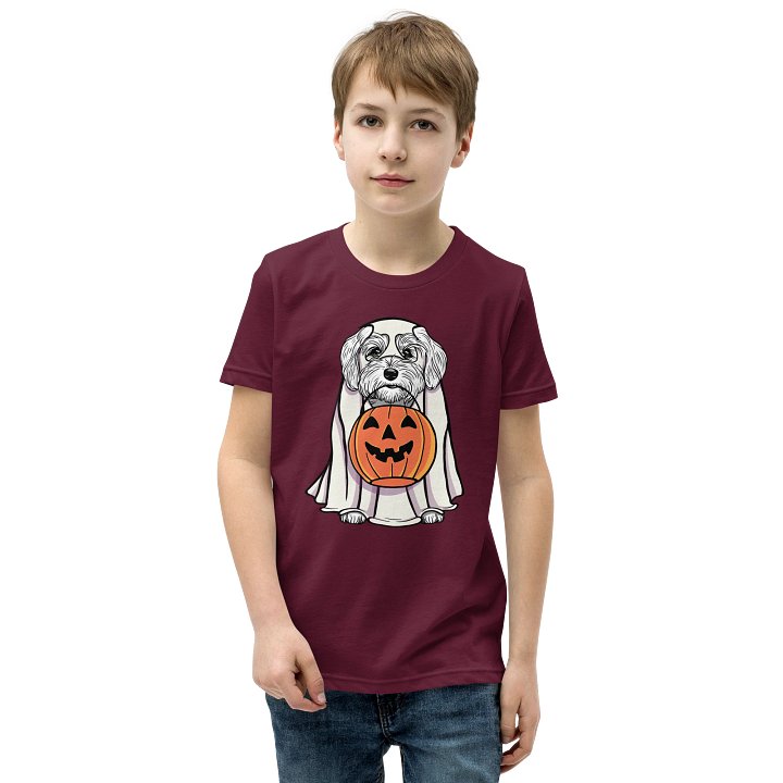 Halloween Havanese(White) Youth T-Shirt product image (1)