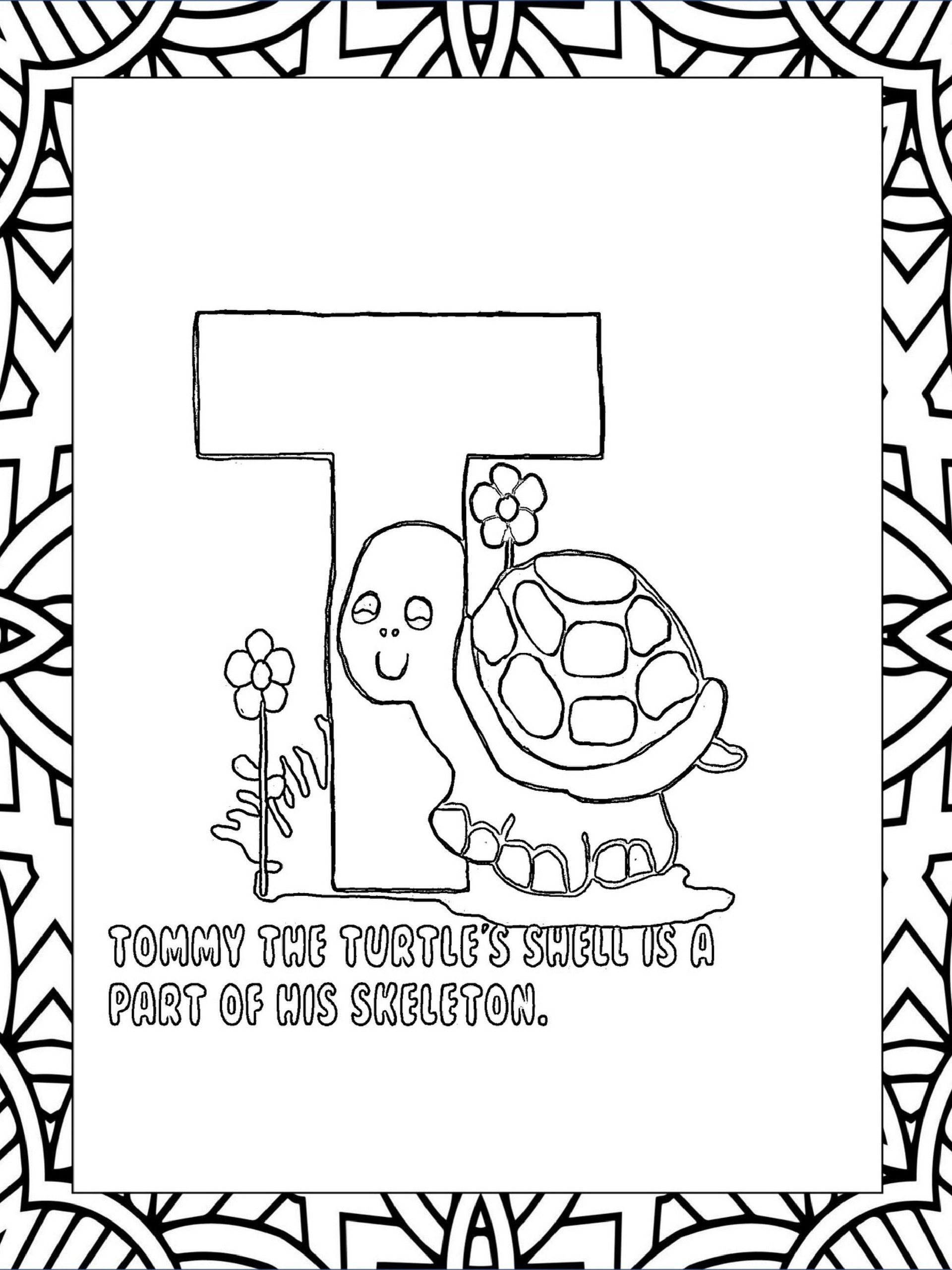 Fun Learning Animal ABCs product image (7)