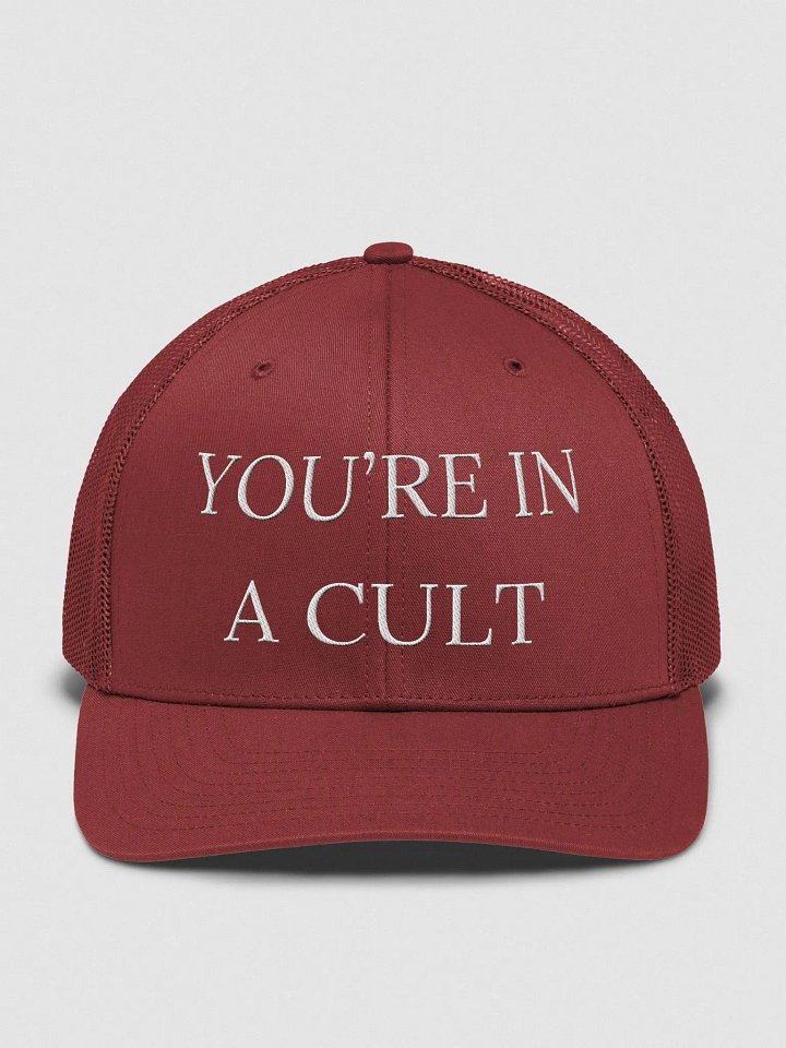 You’re in a CULT Anti Trump Hat product image (2)