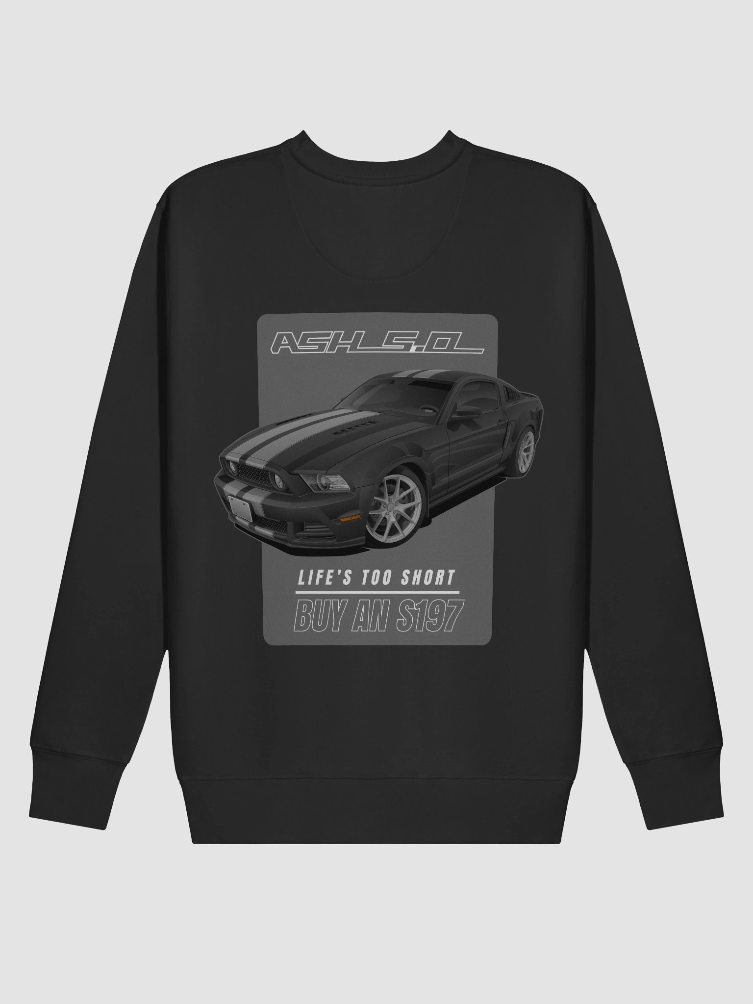 Sweatshirt - Ashton's S197 product image (23)