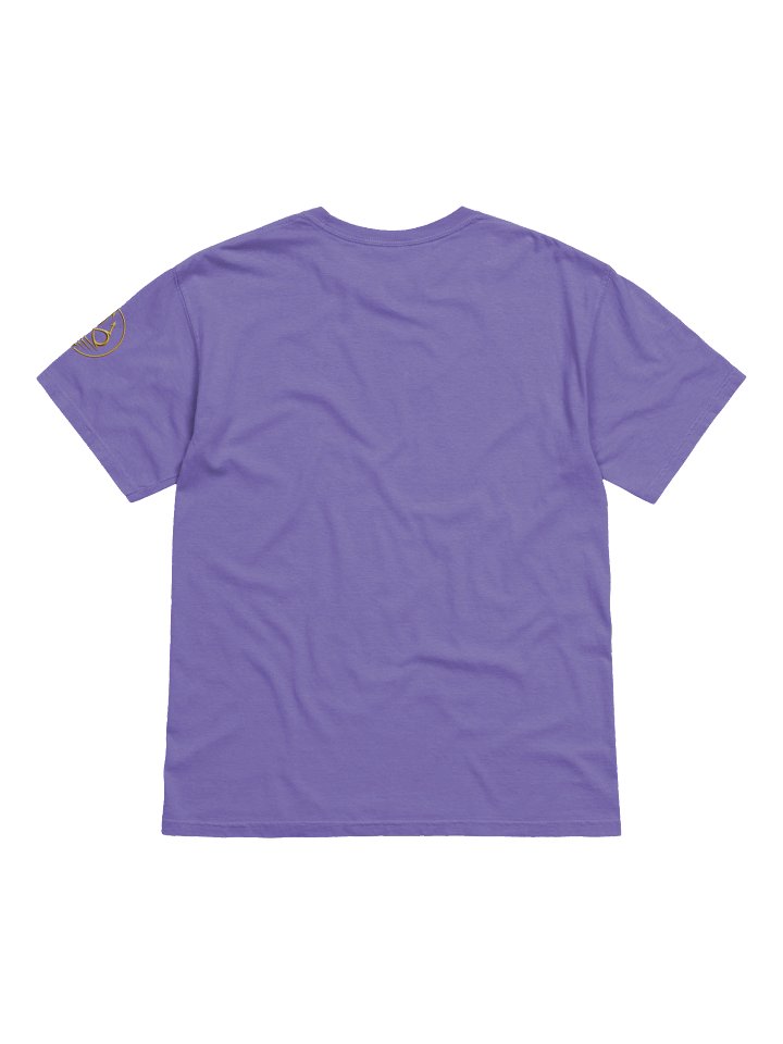 EPIC RISE T-SHIRT product image (13)
