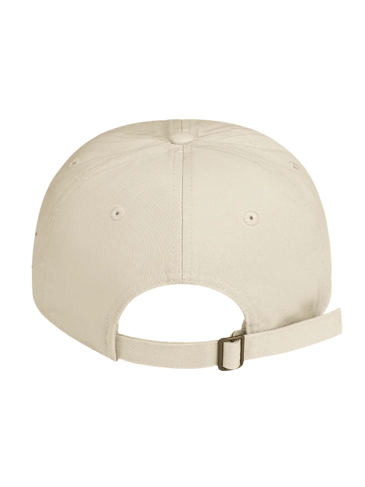 PRESERVE & PROTECT | Unisex | Organic Dad Hat product image (2)