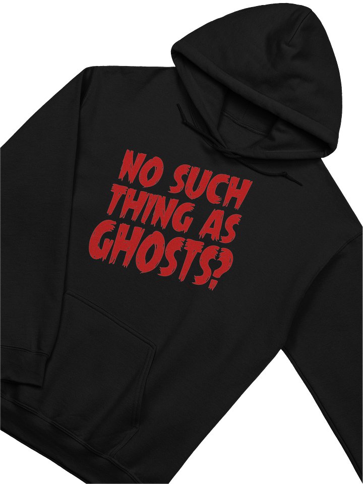 No Such Thing As Ghosts Large Logo Hoodie product image (2)