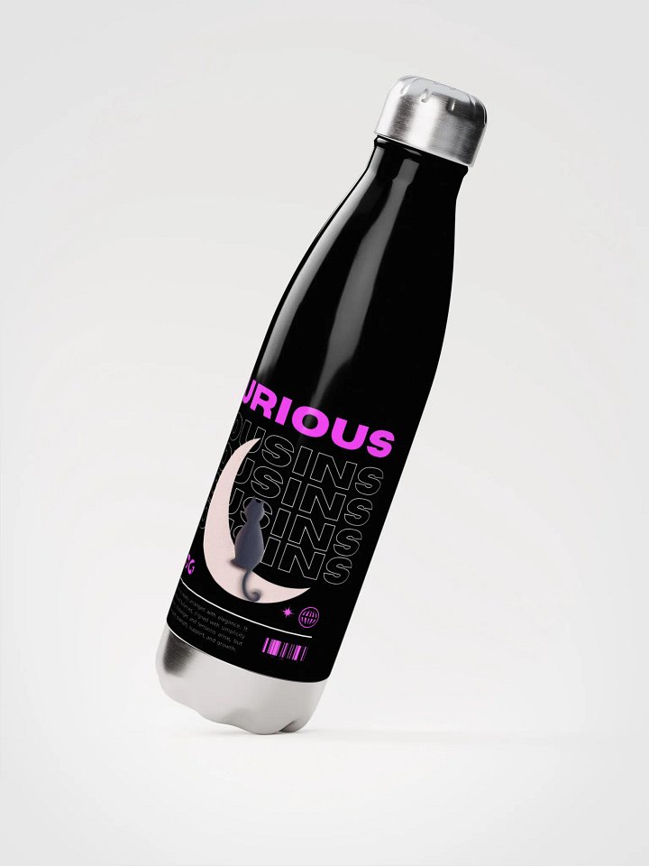 Stainless Steel Water Bottle product image (2)