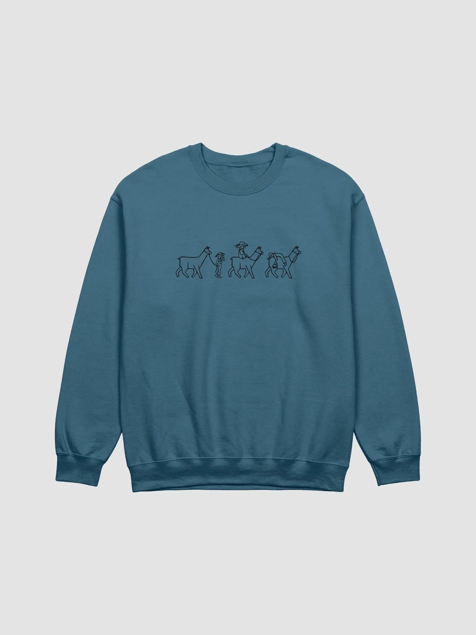 Wandering Lama Sweater product image (5)