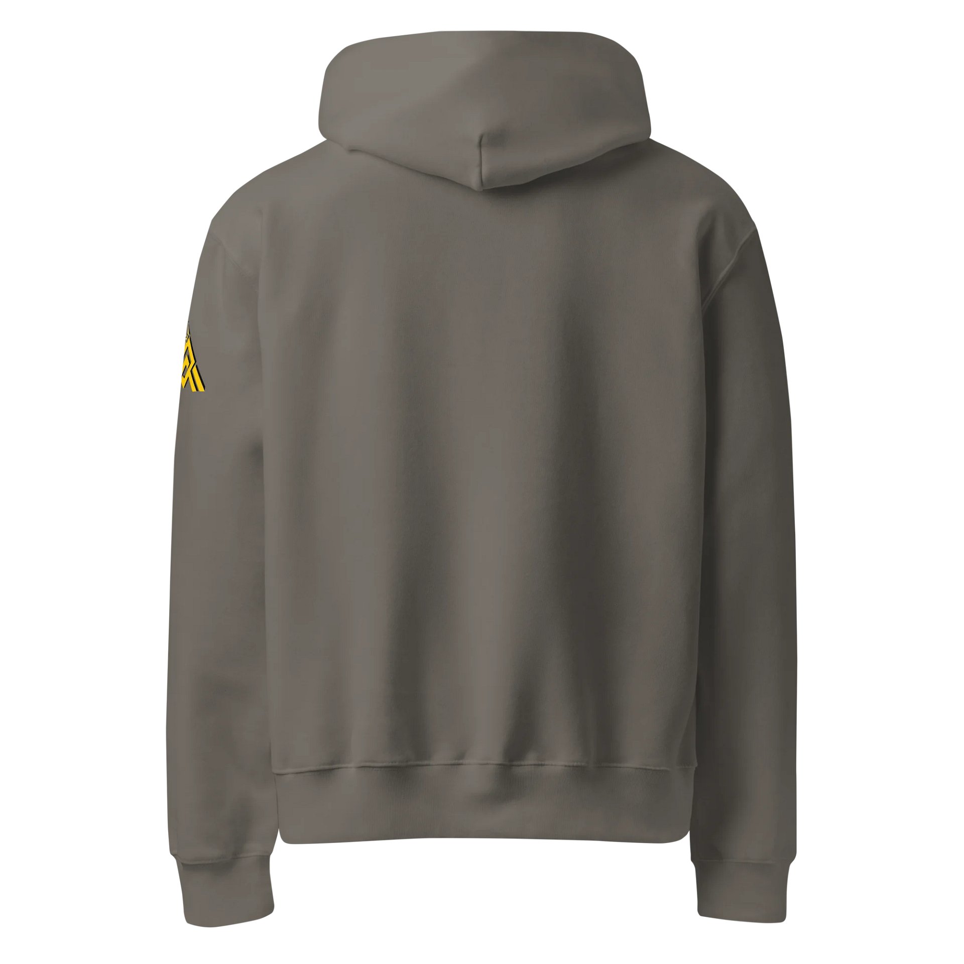 Blizzcon Hoodie product image (8)