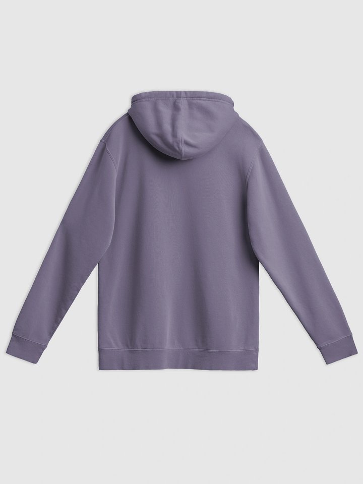 UFO Ultraconservative Family Oriented Hoodie product image (2)