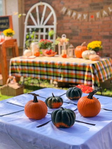 Fall entertaining on your mind? Girl, same! 🎃

I hosted my family for the cutest little Backyard Harvest Festival a few years...