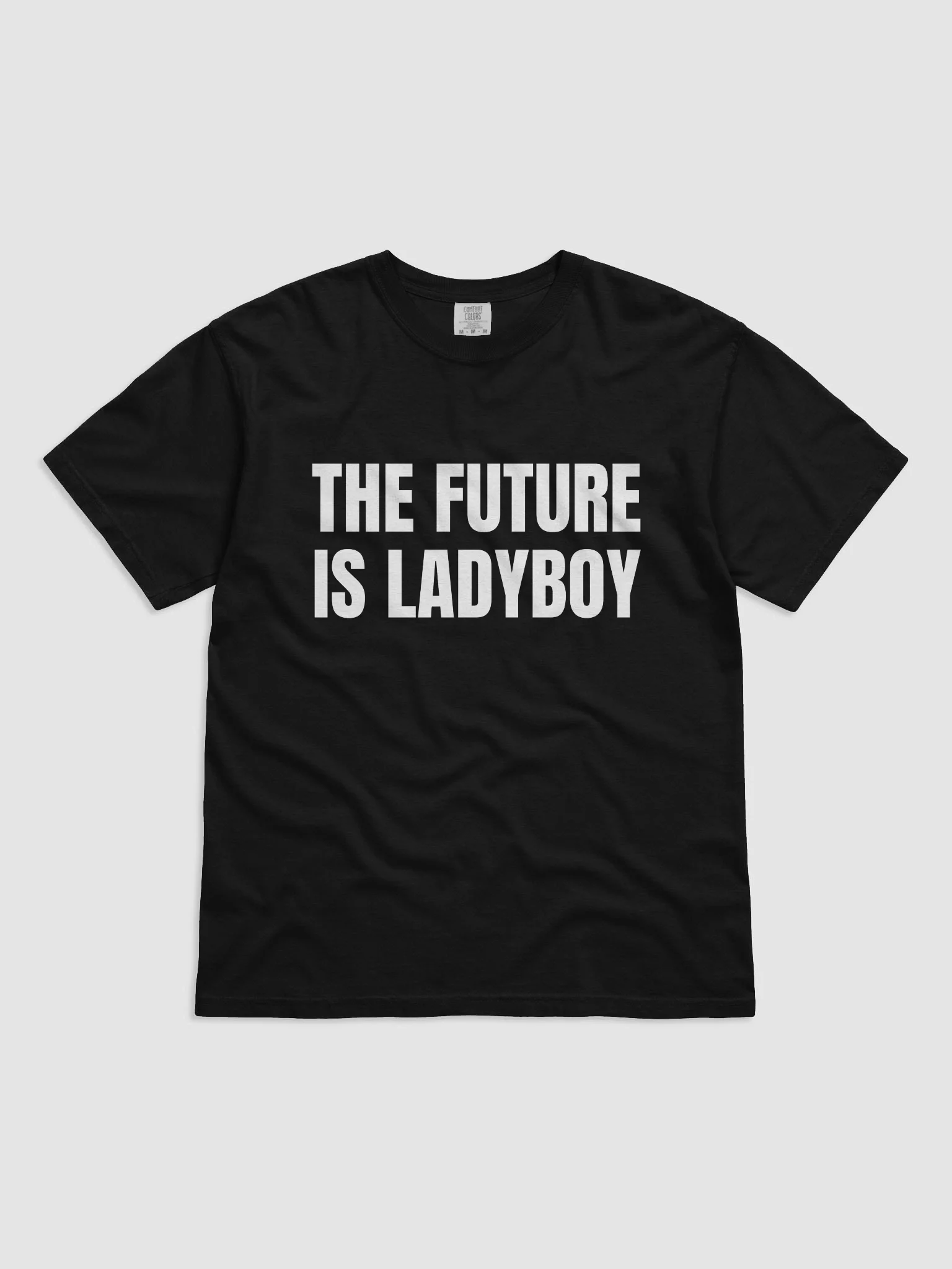 The Future is Ladyboy T-Shirt