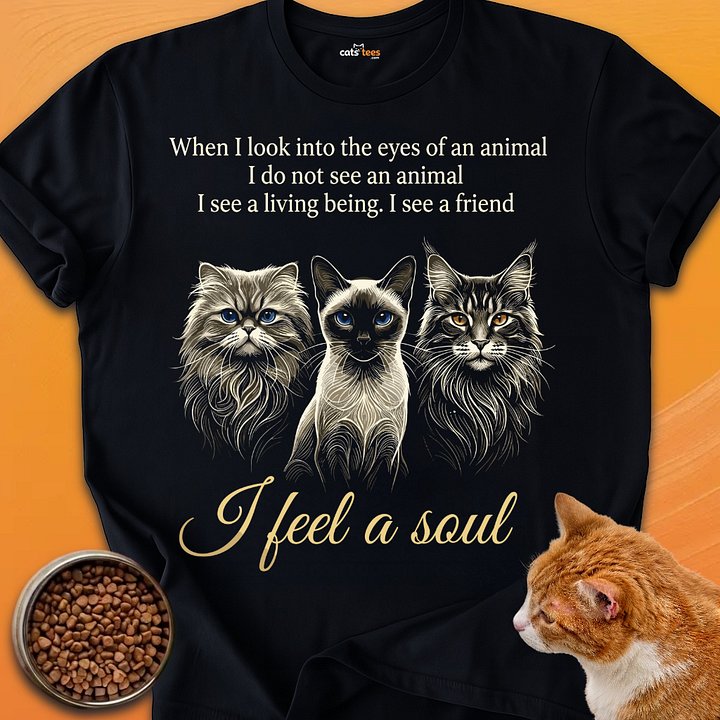I Feel a Soul product image (1)