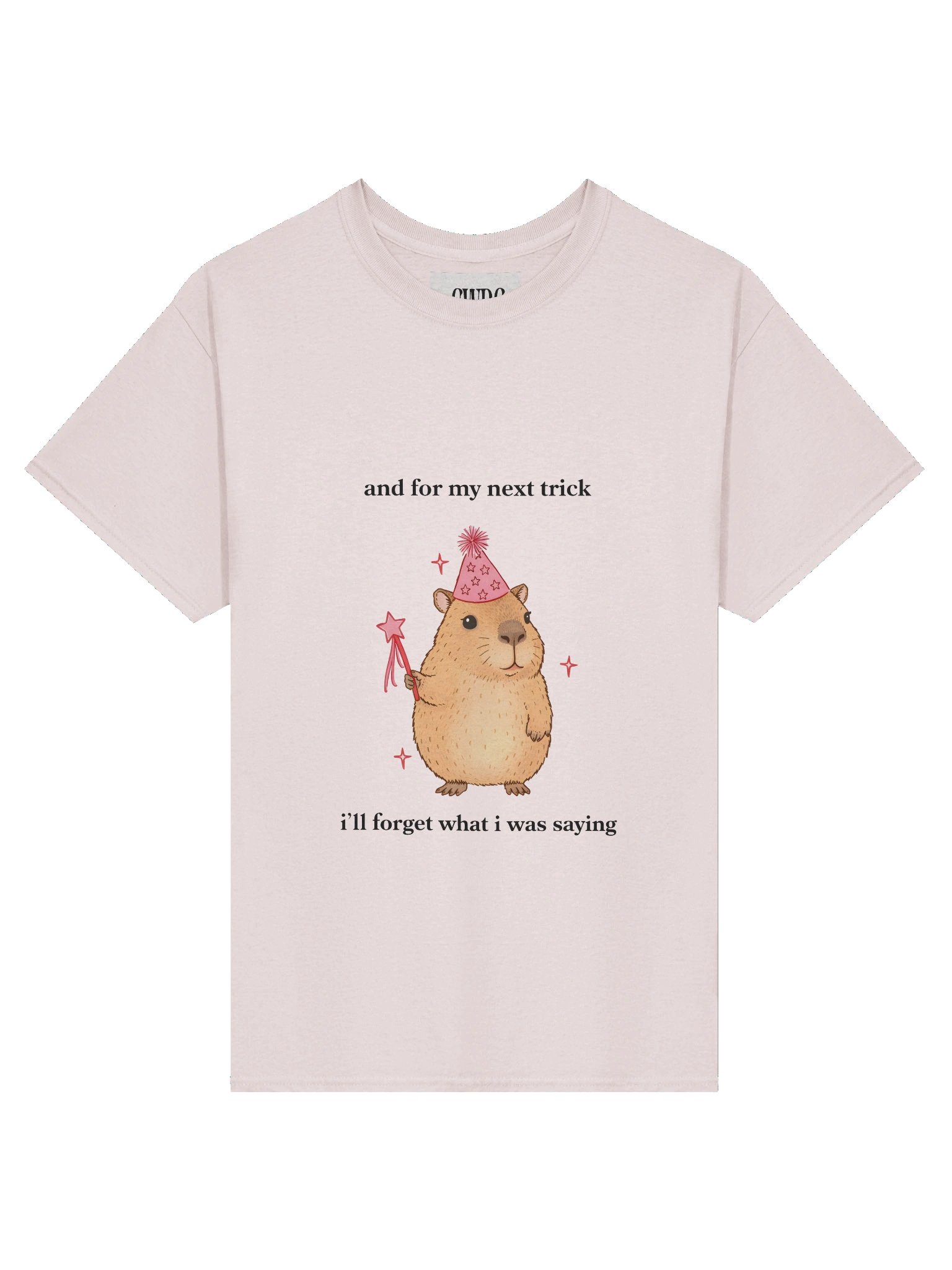 Magic Cabybara product image (1)