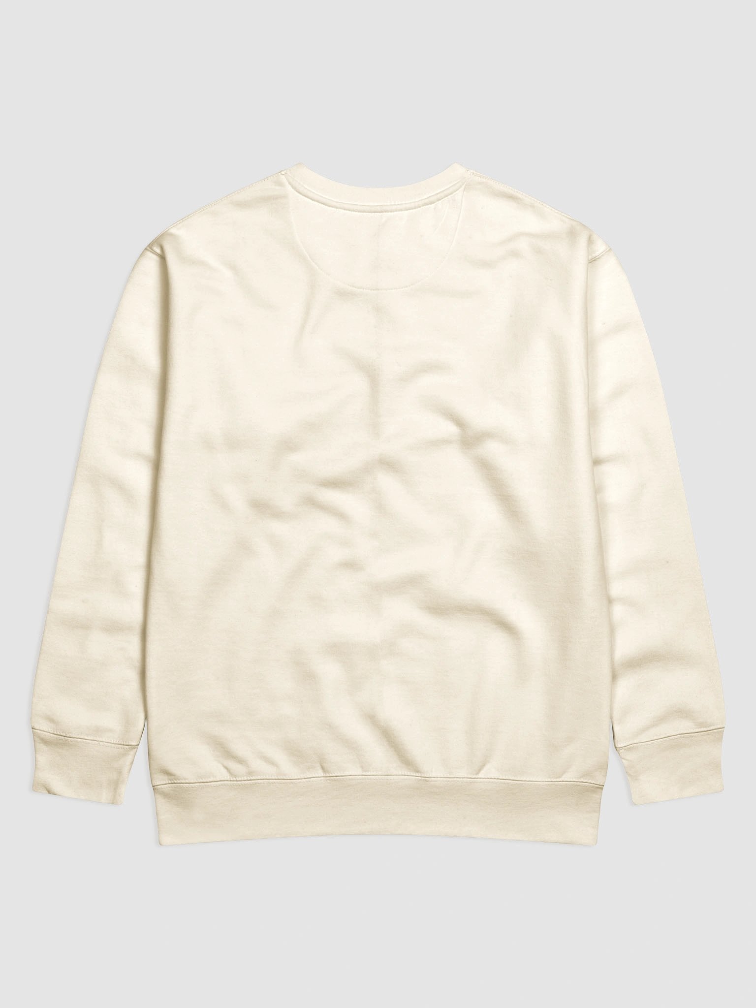 Hand-Drawn Hummingbird Unisex Sweatshirt product image (108)