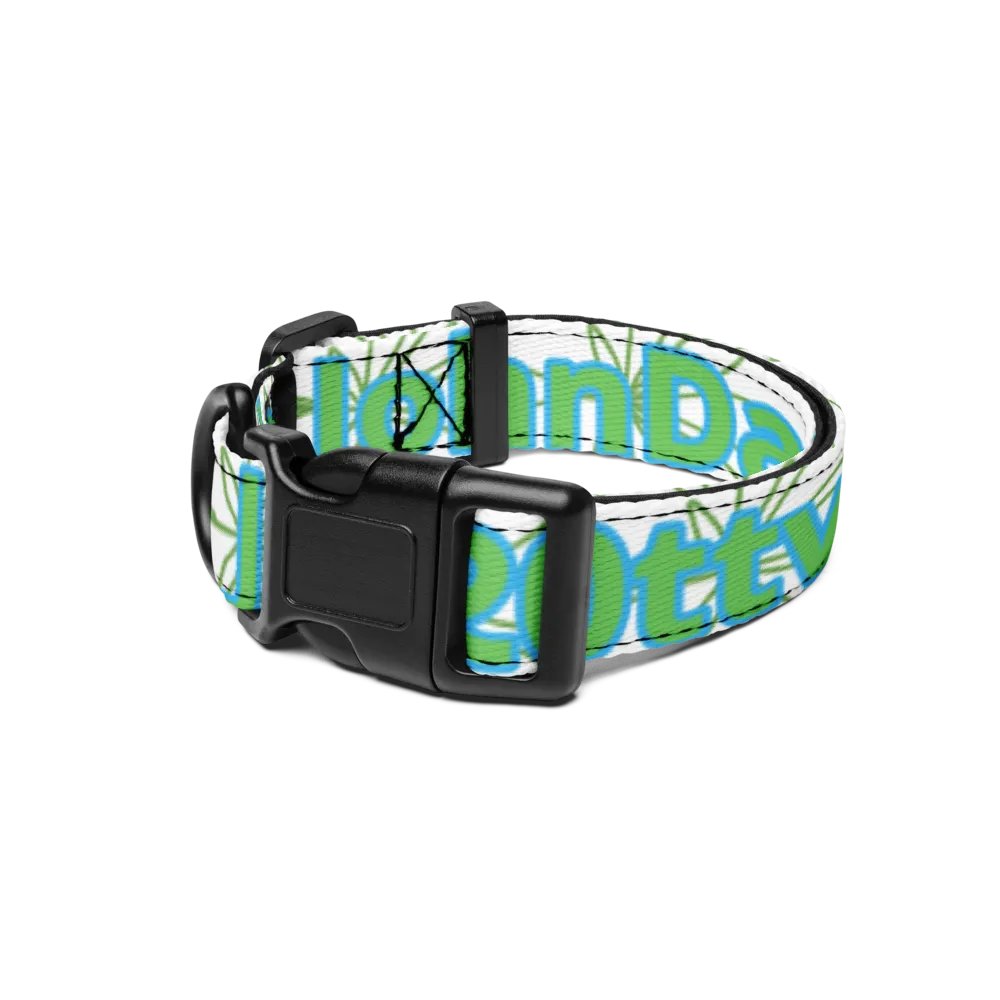 DaBot Collar product image (1)