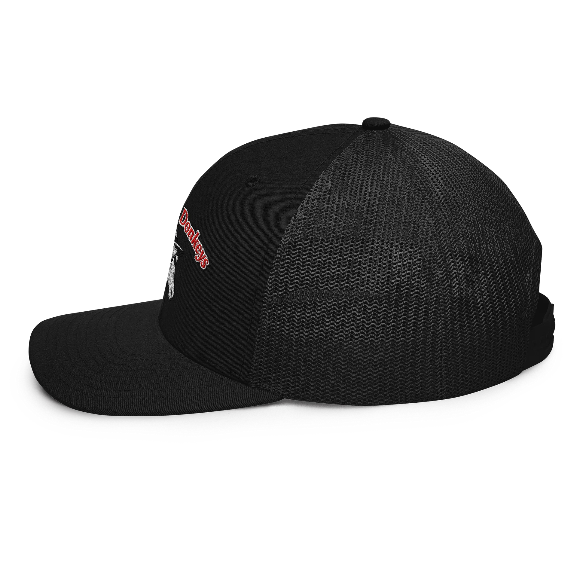 Logo Hat product image (14)