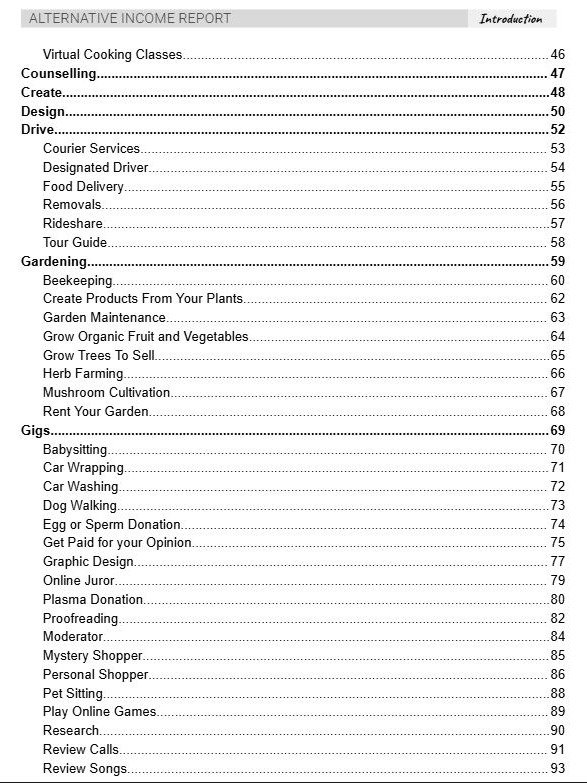 Alternative Income Report - 165 pages of inspiration for flexible income! product image (2)