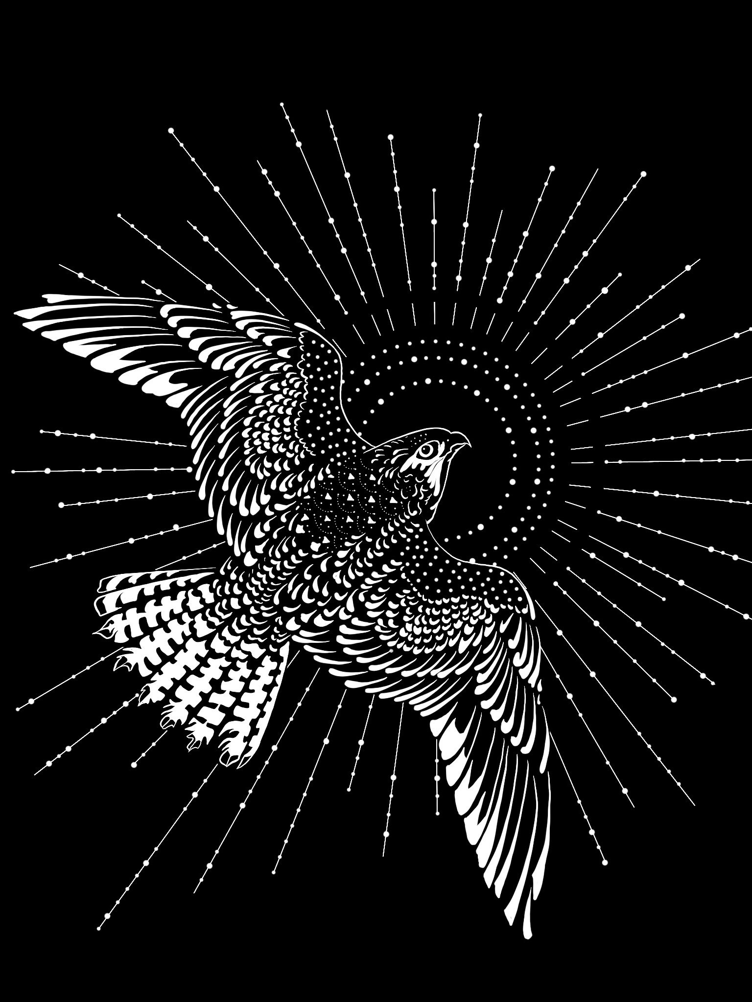 Radiant Falcon Long Sleeve TShirt product image (18)