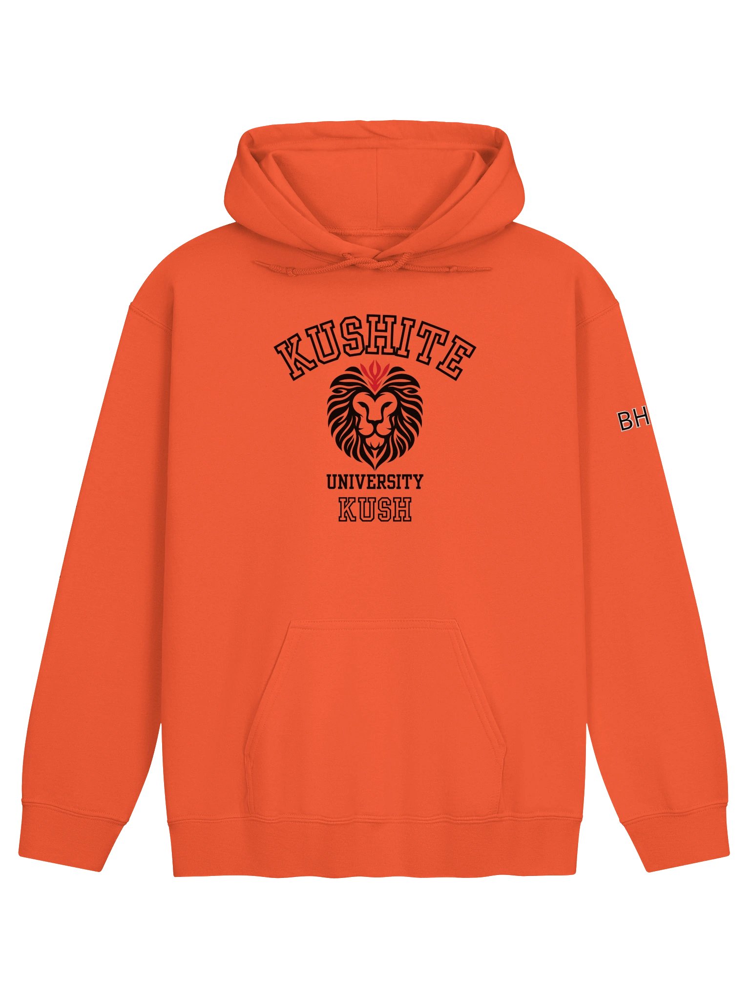 Kushite University | Kush | Hoodie | Originology | Black History X product image (1)