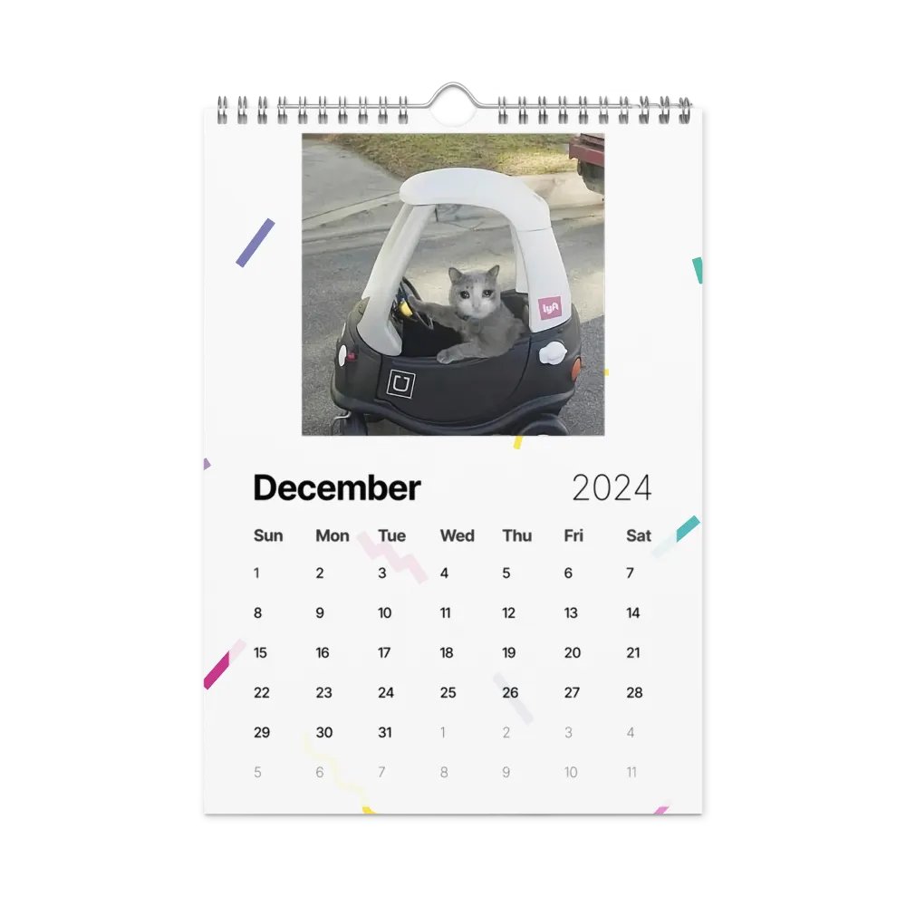 Wall Calendar (2024): Meme Cats product image (6)