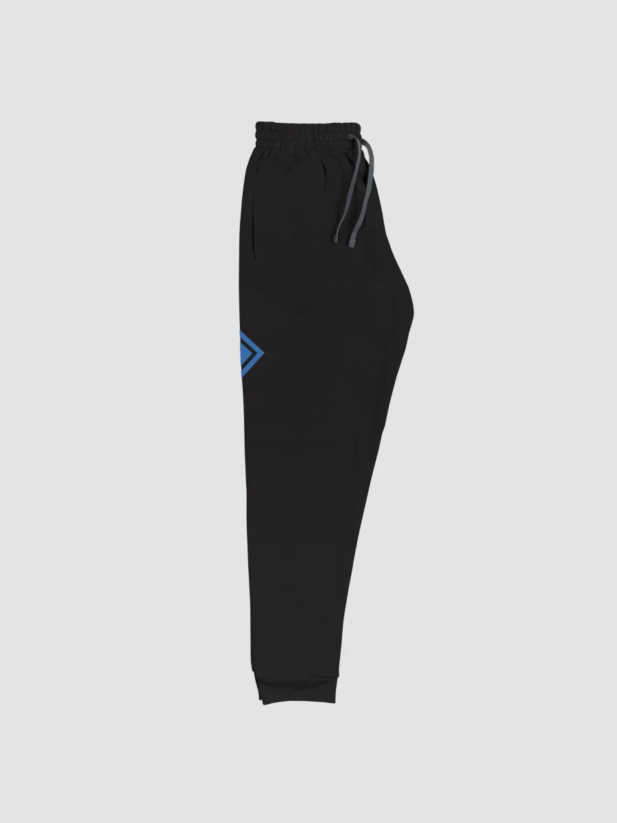 Survivor Unisex Joggers product image (2)