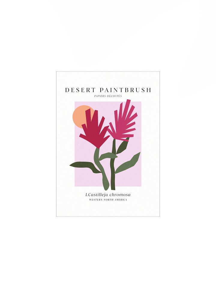 Desert Paintbrush Cut Paper Native Plants ✷ Art Print product image (1)