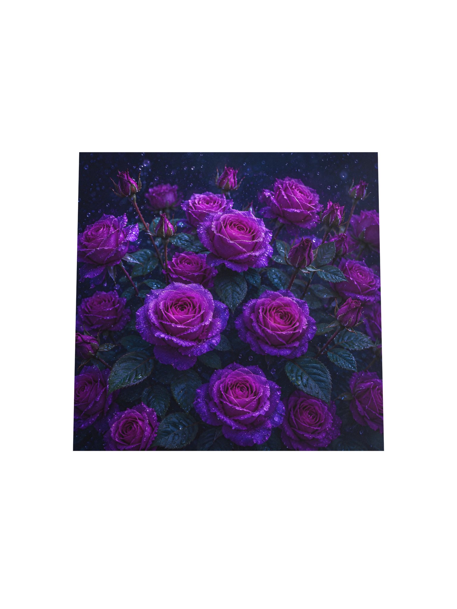 Purple Rose Wall Art Print, Rainy Floral Poster, Romantic Violet Flower Decor, 10x10 Gift product image (6)