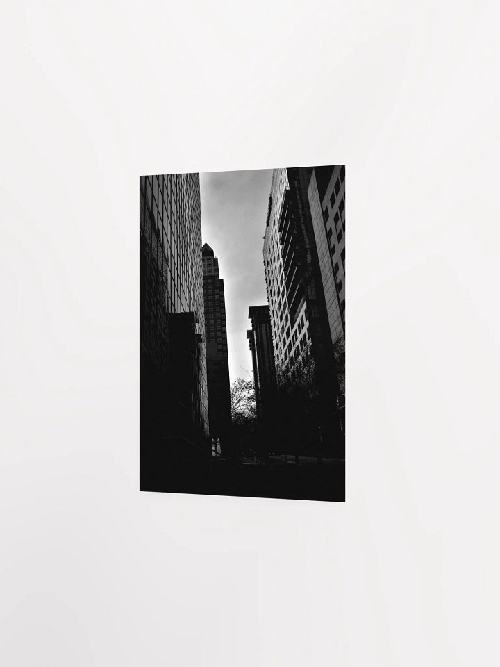 Downtown Orlando 3 product image (15)