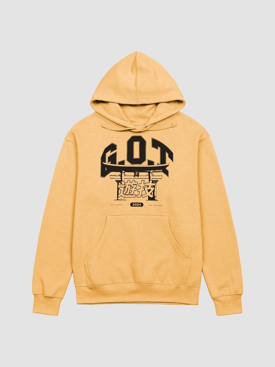 G.O.T VARSITY HOODIE product image (1)