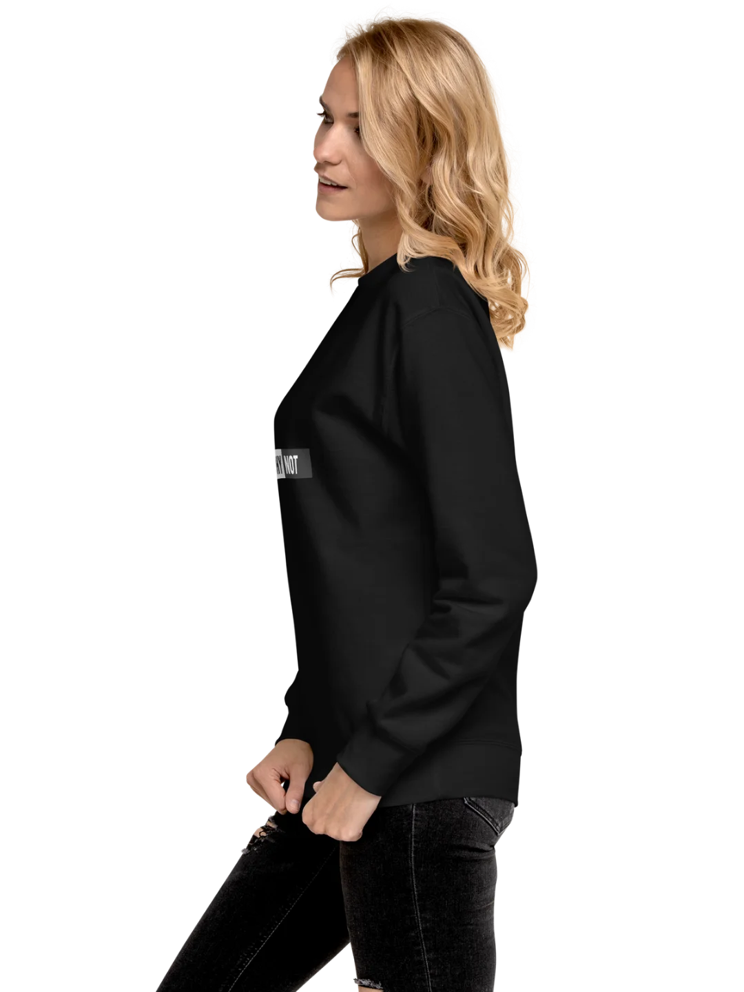 WHY NOT — Minimalist Statement Sweatshirt product image (8)