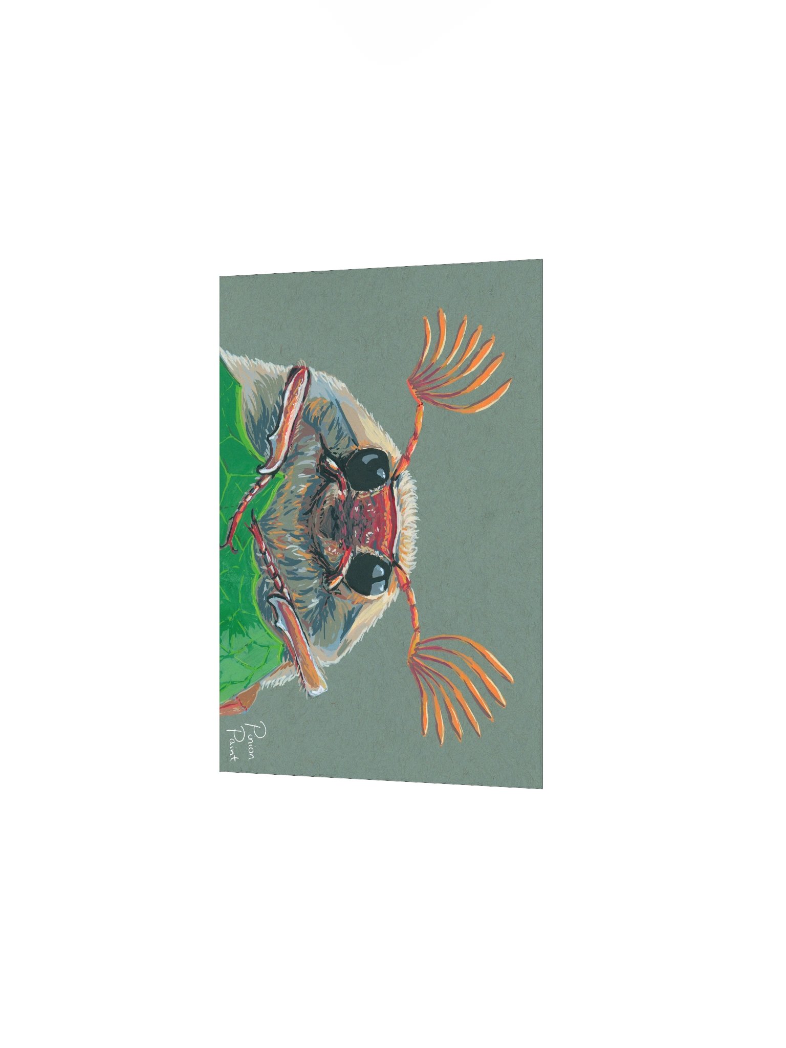 Cockchafer print product image (3)