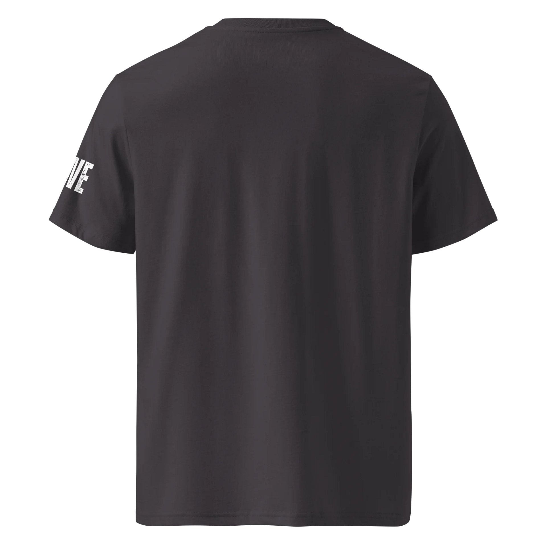 Camiseta Orgánica 5,3 oz – Algodón GOTS Unisex Fit Clásico product image (2)