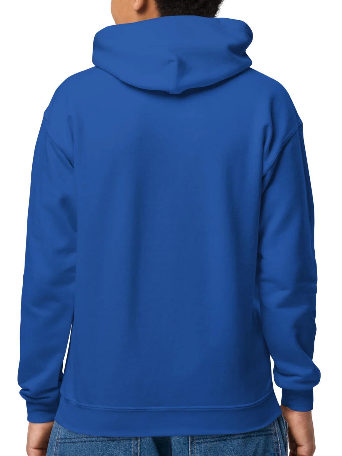 Inari Sushi and Futomaki Cat - Unisex Youth Hoodie product image (15)