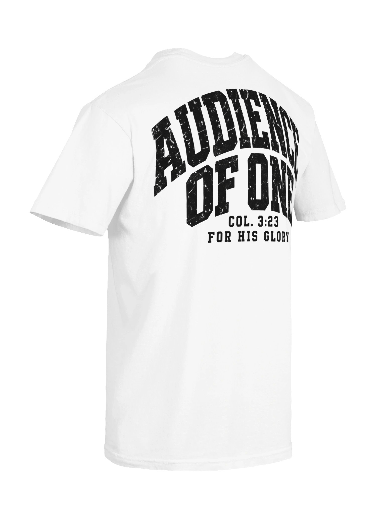 Elioenai "AUDIENCE OF ONE" Heavyweight Tee product image (192)