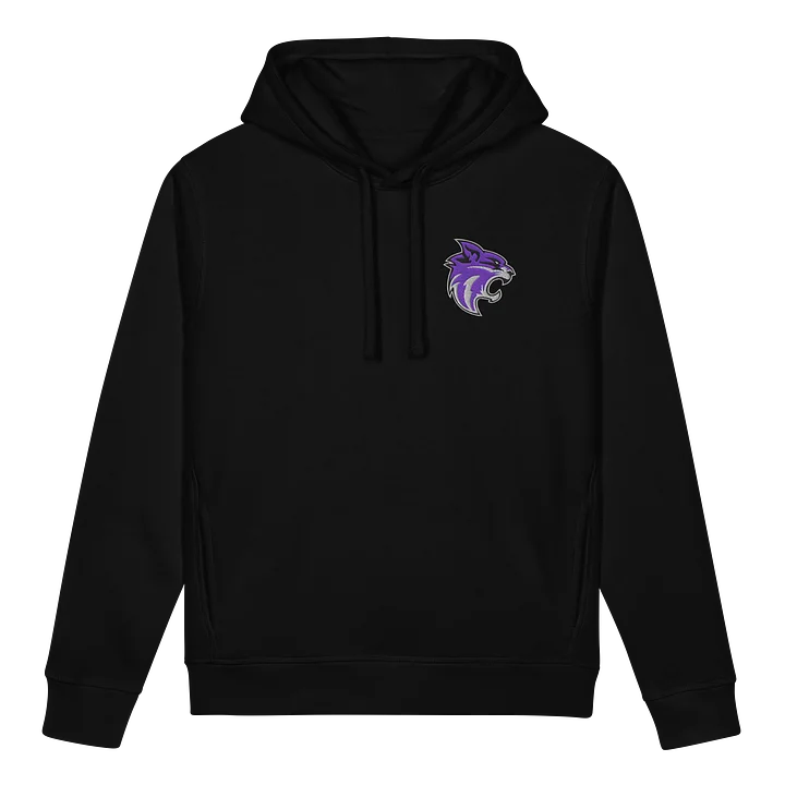 Jr Whips Embroidered Hoodie product image (1)