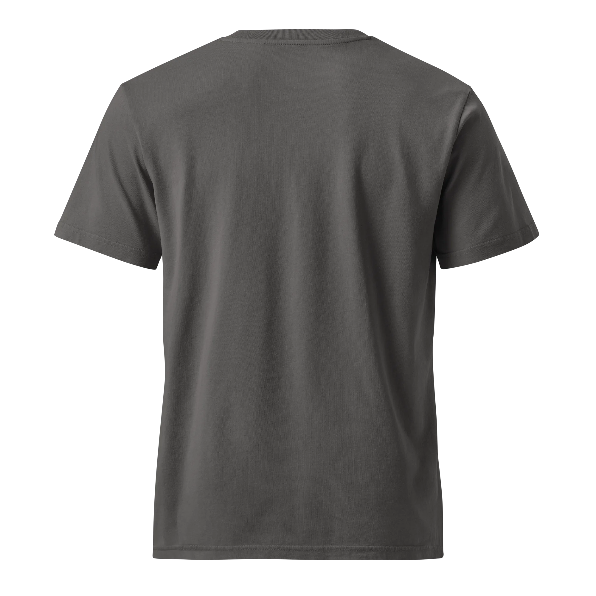 STANLEY/STELLA // GARMENT DYED T-SHIRT product image (2)