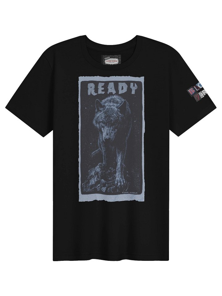 Ready product image (11)