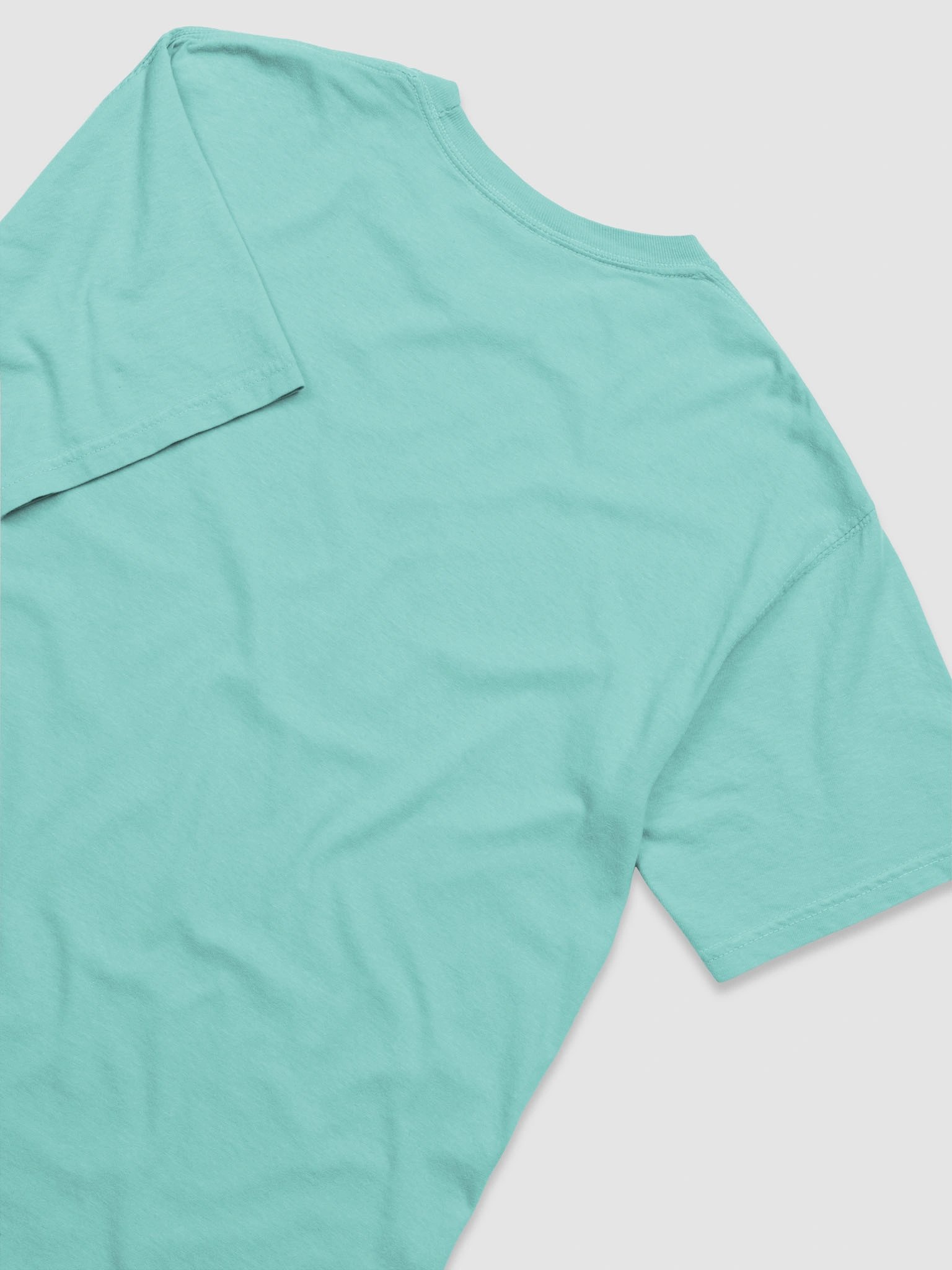 MONSTER UP : Comfort Colors Garment-Dyed Heavyweight T-Shirt product image (46)