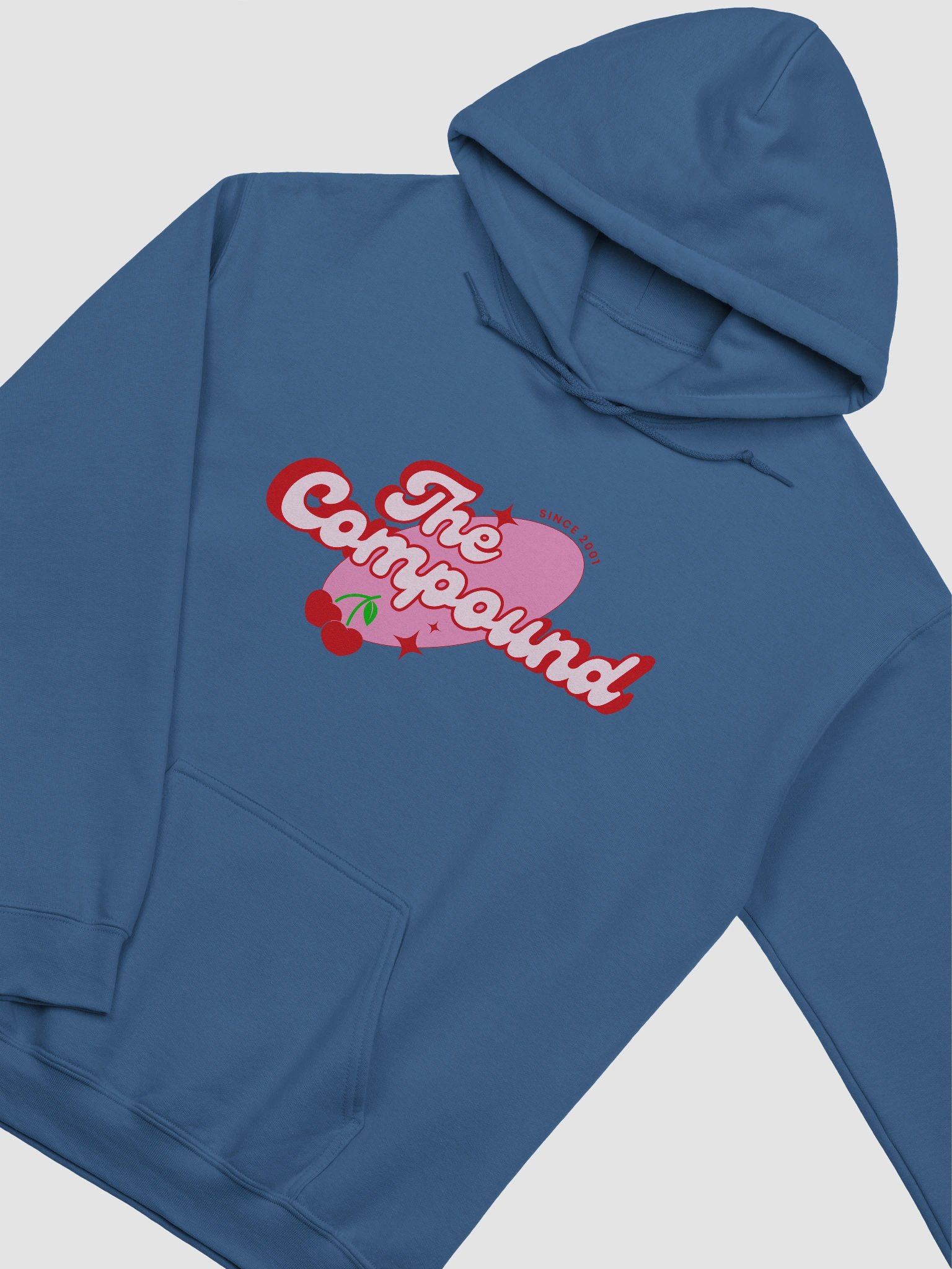 Cherry Bomb Hoodie product image (13)